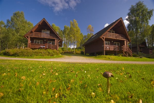 Woodland Lodges